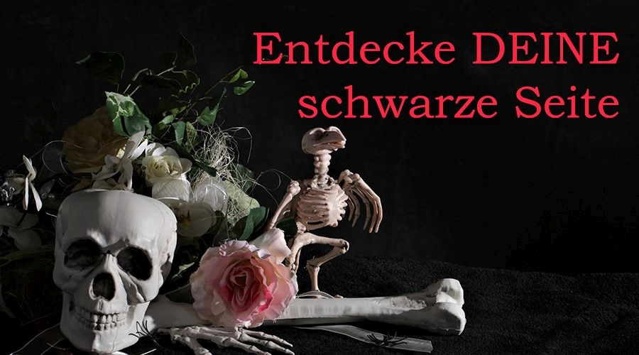Bild 9 Beispielbilder